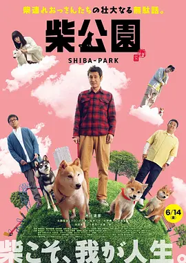 真没想到，杨幂旗下最稳的是高伟光 2020-12-31 《傲娇与偏见》终极预告 热巴、高伟光脱线搞笑 2017-04-18 侯在嬉笑互怼中逐渐消除隔阂的欢闹故事。