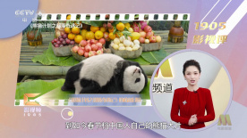 《犯罪家族之地》定档3.302025-02-27 汤姆·哈迪《毒劫》首曝预告 4.25上线流媒体！
